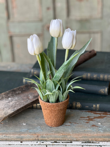 Holland Tulip Pot | 12" | Cream | NOT CURRENTLY IN STOCK - Spring 2026