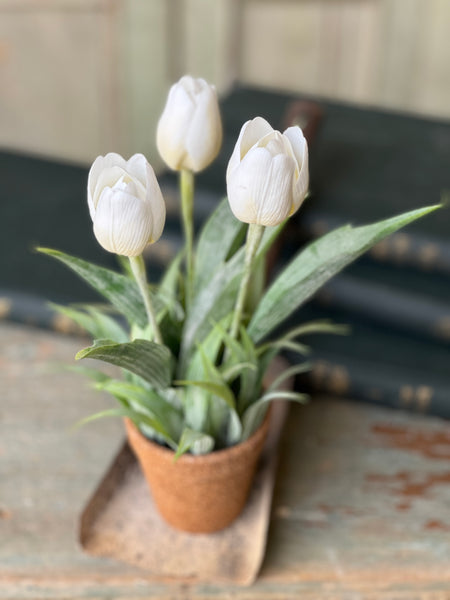 Holland Tulip Pot | 12" | Cream | NOT CURRENTLY IN STOCK - Spring 2026