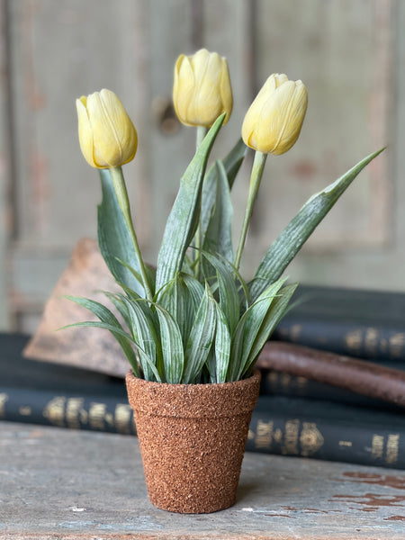 Holland Tulip Pot | 12" | Yellow | NOT CURRENTLY IN STOCK - Spring 2026