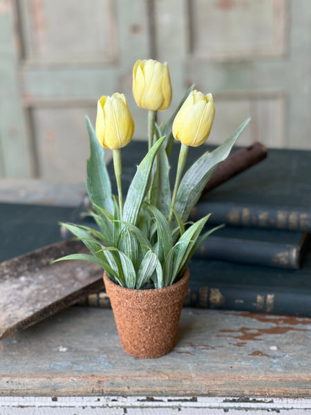 Holland Tulip Pot | 12" | Yellow | NOT CURRENTLY IN STOCK - Spring 2026