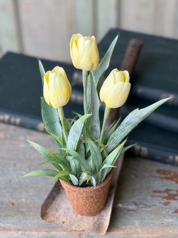 Holland Tulip Pot | 12" | Yellow | NOT CURRENTLY IN STOCK - Spring 2026