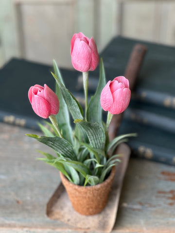 Holland Tulip Pot | 12" | Pink | NOT CURRENTLY IN STOCK - Spring 2026
