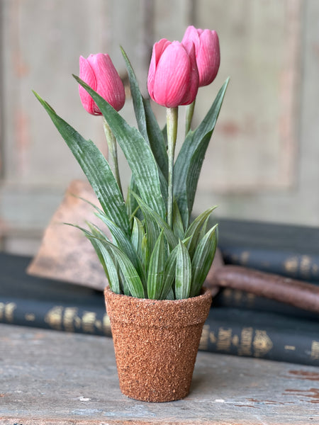 Holland Tulip Pot | 12" | Pink | NOT CURRENTLY IN STOCK - Spring 2026