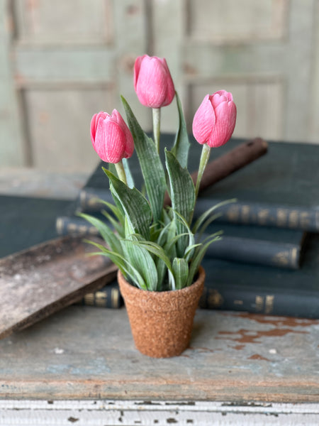Holland Tulip Pot | 12" | Pink | NOT CURRENTLY IN STOCK - Spring 2026