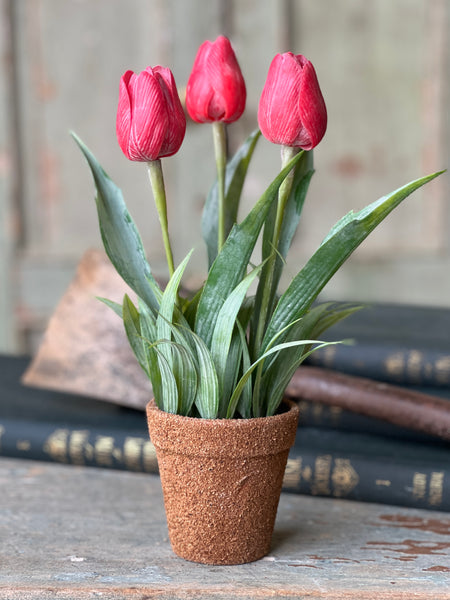 Holland Tulip Pot | 12" | Red | NOT CURRENTLY IN STOCK - Spring 2026
