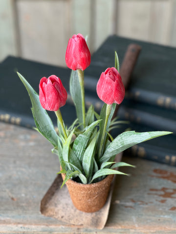 Holland Tulip Pot | 12" | Red | NOT CURRENTLY IN STOCK - Spring 2026