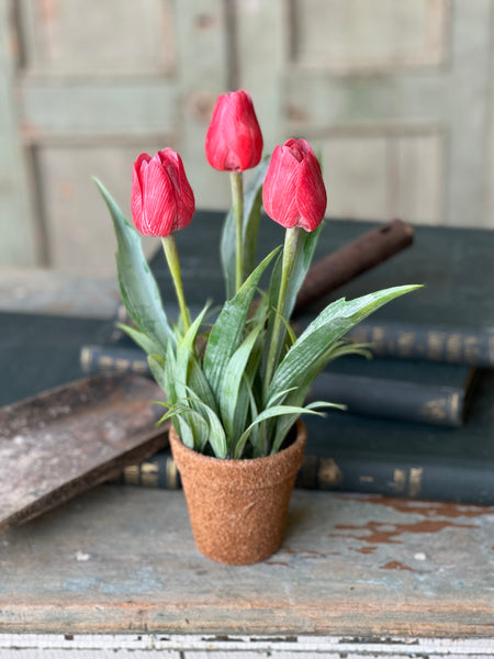 Holland Tulip Pot | 12" | Red | NOT CURRENTLY IN STOCK - Spring 2026