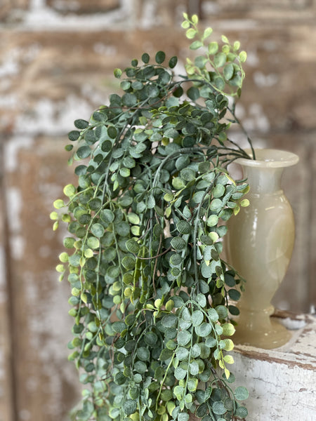 Cherub Vine Hanging | 30" | NOT CURRENTLY IN STOCK-New For Spring 2026!