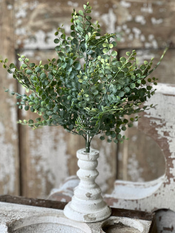 Cherub Vine Bush | 18" | NOT CURRENTLY IN STOCK - Spring 2026
