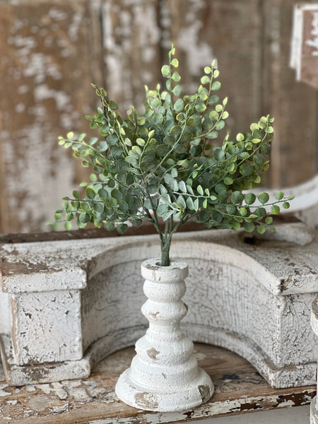 Cherub Vine Bush | 13.5" | NOT CURRENTLY IN STOCK - Spring 2026