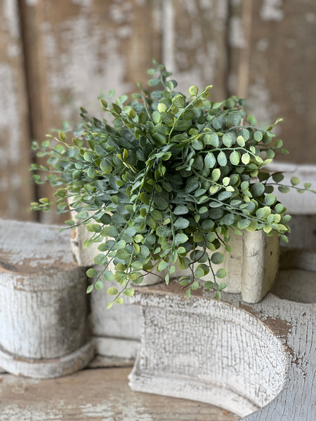 Cherub Vine Half Sphere | 11" | NOT CURRENTLY IN STOCK - Spring 2026