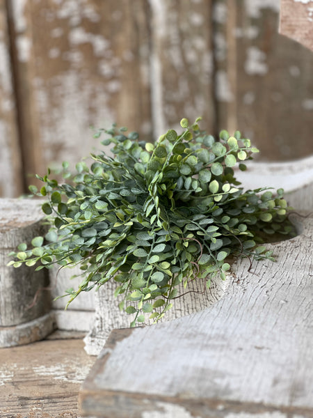 Cherub Vine Half Sphere | 11" | NOT CURRENTLY IN STOCK - Spring 2026