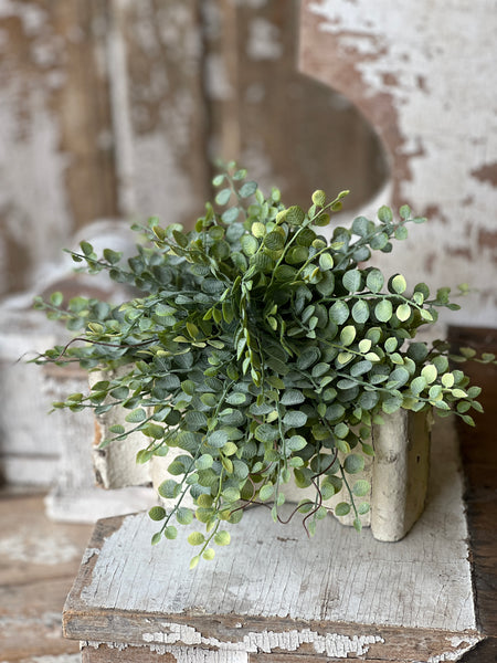 Cherub Vine Half Sphere | 11" | NOT CURRENTLY IN STOCK - Spring 2026