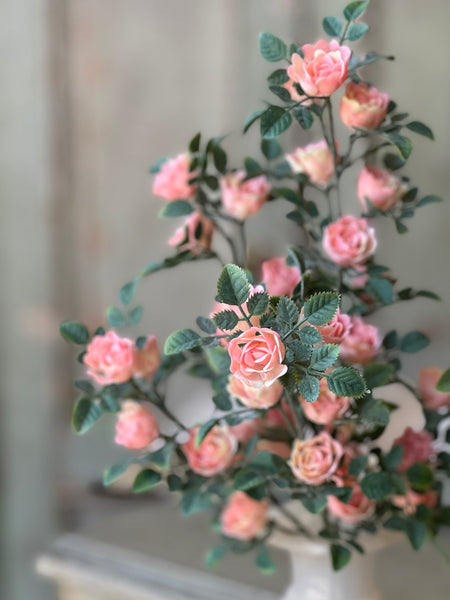 Calloway Rose Bush | 14.5" | Pink | NOT CURRENTLY IN STOCK-New For Spring 2026!
