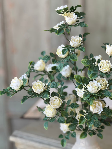 Calloway Rose Bush | 14.5" | Cream | NOT CURRENTLY IN STOCK-New For Spring 2026!