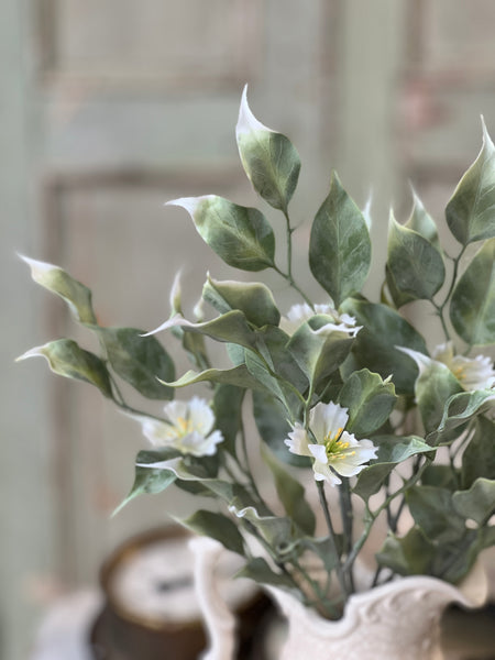 Idle Hour Bush | 14" | White | NOT CURRENTLY IN STOCK-New For Spring 2026!