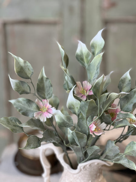 Idle Hour Bush | 14" | Pink | NOT CURRENTLY IN STOCK-New For Spring 2026!