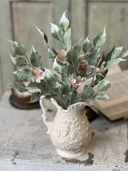 Idle Hour Bush | 14" | Pink | NOT CURRENTLY IN STOCK-New For Spring 2026!