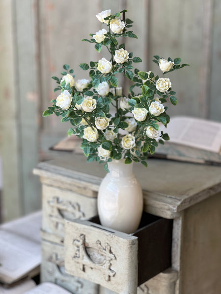 Calloway Rose Bush | 14.5" | Cream | NOT CURRENTLY IN STOCK-New For Spring 2026!
