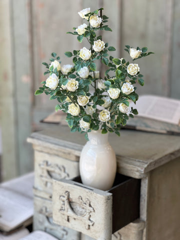 Calloway Rose Bush | 14.5" | Cream | NOT CURRENTLY IN STOCK-New For Spring 2026!