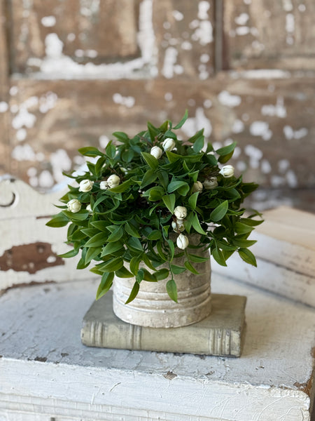 Billow Buds Half Sphere | 9.5" | Cream | NOT CURRENTLY IN STOCK-New For Spring 2027!