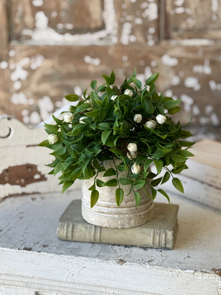 Billow Buds Half Sphere | 9.5" | Cream | NOT CURRENTLY IN STOCK-New For Spring 2027!