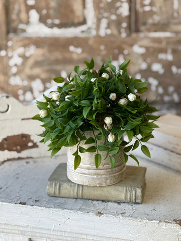 Billow Buds Half Sphere | 9.5" | Cream | NOT CURRENTLY IN STOCK-New For Spring 2027!