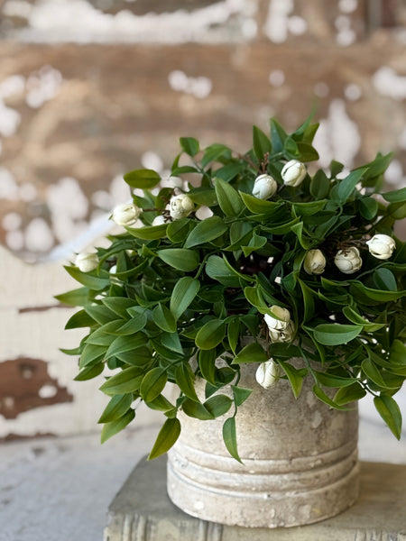 Billow Buds Half Sphere | 9.5" | Cream | NOT CURRENTLY IN STOCK-New For Spring 2027!