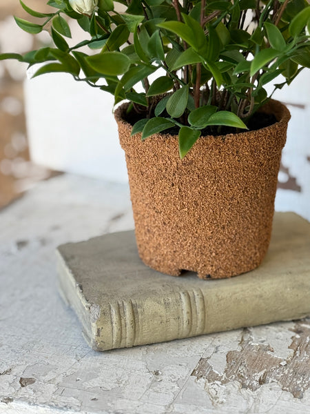 Billow Buds in Pot | 10.5" | Cream | NOT CURRENTLY IN STOCK-New For Spring 2027!