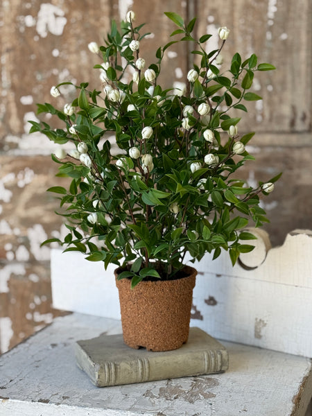 Billow Buds in Pot | 17" | Cream | NOT CURRENTLY IN STOCK-New For Spring 2027!
