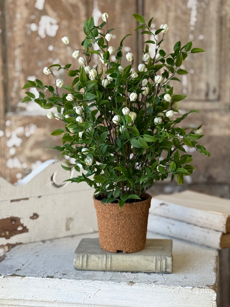 Billow Buds in Pot | 17" | Cream | NOT CURRENTLY IN STOCK-New For Spring 2027!