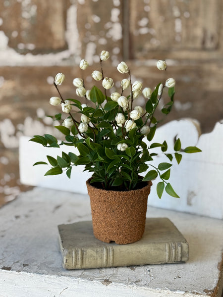 Billow Buds in Pot | 10.5" | Cream | NOT CURRENTLY IN STOCK-New For Spring 2027!