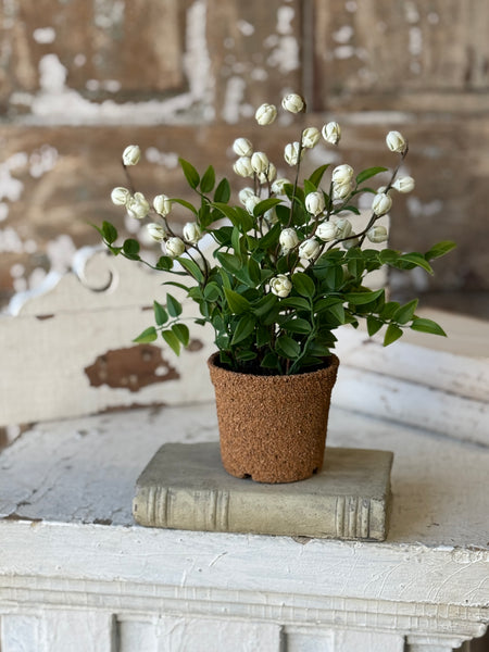 Billow Buds in Pot | 10.5" | Cream | NOT CURRENTLY IN STOCK-New For Spring 2027!