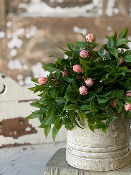 Billow Buds Half Sphere | 9.5" | Pink | NOT CURRENTLY IN STOCK-New For Spring 2027!