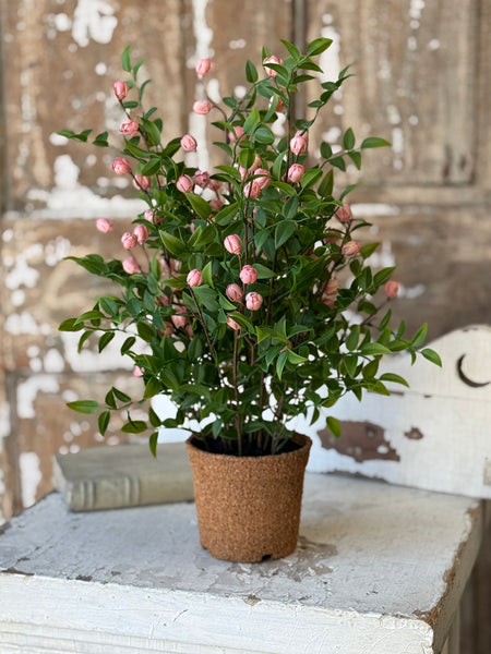 Billow Buds in Pot | 17" | Pink | NOT CURRENTLY IN STOCK-New For Spring 2027!