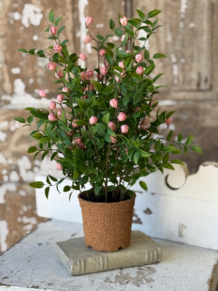 Billow Buds in Pot | 17" | Pink | NOT CURRENTLY IN STOCK-New For Spring 2027!