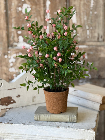 Billow Buds in Pot | 17" | Pink | NOT CURRENTLY IN STOCK-New For Spring 2027!