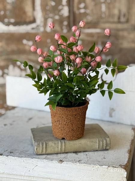 Billow Buds in Pot | 10.5" | Pink | NOT CURRENTLY IN STOCK-New For Spring 2027!