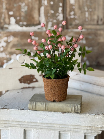 Billow Buds in Pot | 10.5" | Pink | NOT CURRENTLY IN STOCK-New For Spring 2027!