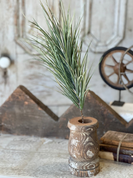 Waterloo Grass Bush | 24" | NOT CURRENTLY IN STOCK-New For Spring 2026!