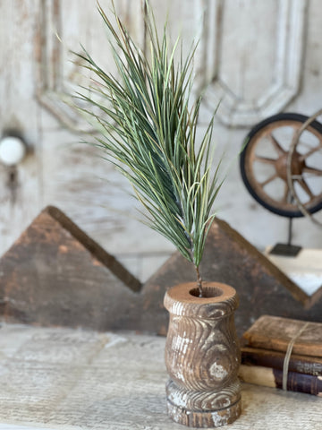 Waterloo Grass Bush | 24" | NOT CURRENTLY IN STOCK-New For Spring 2026!