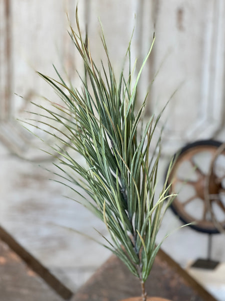 Waterloo Grass Bush | 24" | NOT CURRENTLY IN STOCK-New For Spring 2026!