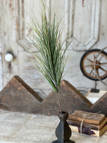 Waterloo Grass Bush | 24" | NOT CURRENTLY IN STOCK-New For Spring 2026!