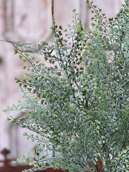 Merlin Leaves Bush | 21" | NOT CURRENTLY IN STOCK-New For Spring 2026!