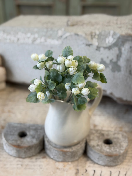 Sweetwild Bush | 9.5" | Cream | NOT CURRENTLY IN STOCK-New For Spring 2027!