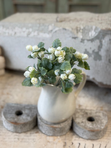 Sweetwild Bush | 9.5" | Cream | NOT CURRENTLY IN STOCK-New For Spring 2027!
