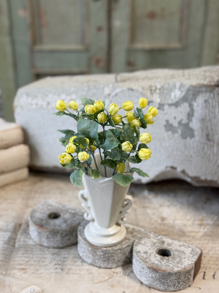 Sweetwild Bush | 9.5" | Yellow | NOT CURRENTLY IN STOCK-New For Spring 2027!