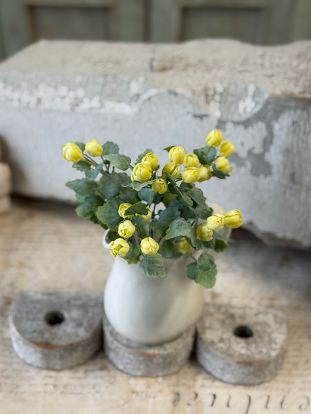 Sweetwild Bush | 9.5" | Yellow | NOT CURRENTLY IN STOCK-New For Spring 2027!