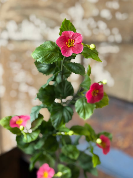 Glory Bloom Spray | 25" | Pink | NOT CURRENTLY IN STOCK-New For Spring 2027!