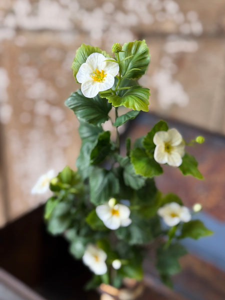 Glory Bloom Spray | 25" | Cream | NOT CURRENTLY IN STOCK-New For Spring 2027!